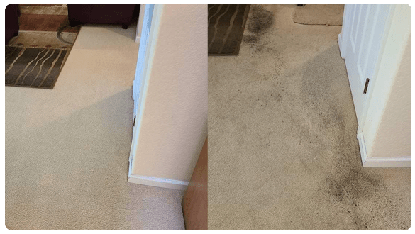 24*7 Carpet Cleaning Service In Waterlo